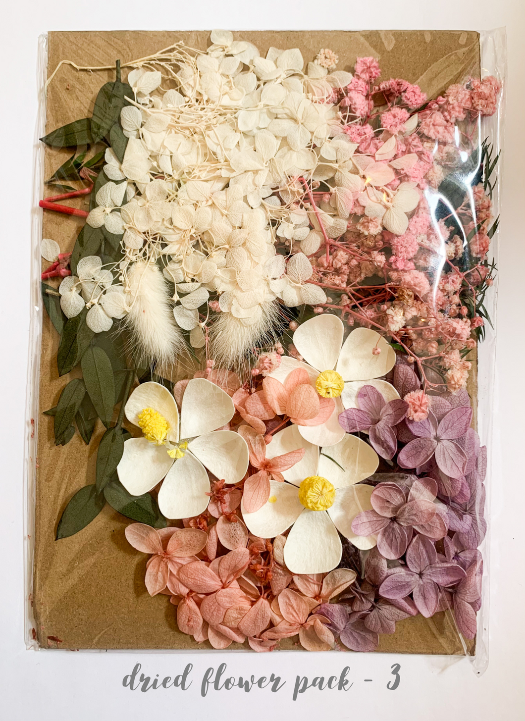 Dried Flower Pack 3