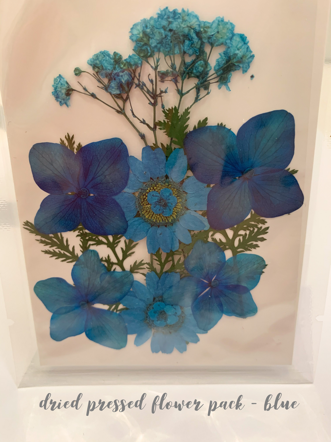 Small Dried Pressed Flower Pack - Blue