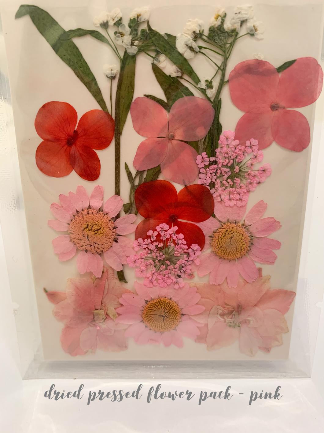 Small Dried Pressed Flower Pack - Pink