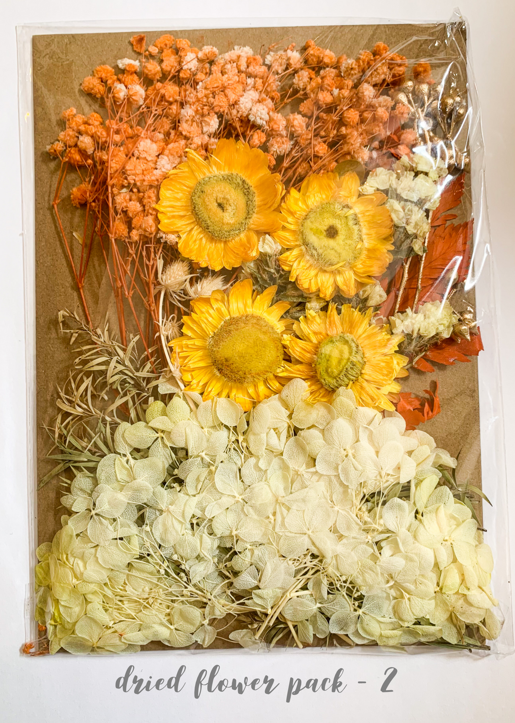 Dried Flower Pack 2