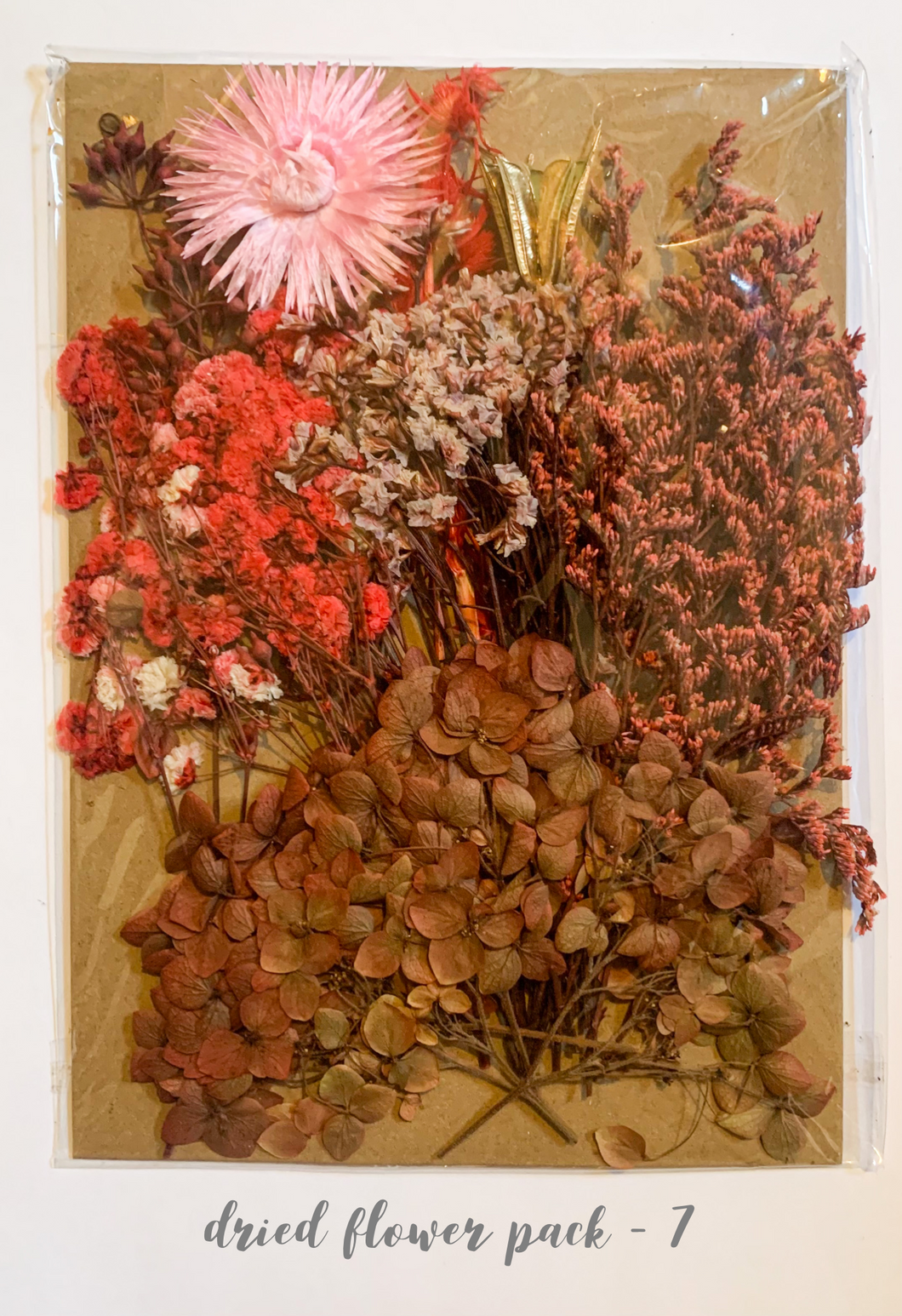 Dried Flower Pack 7