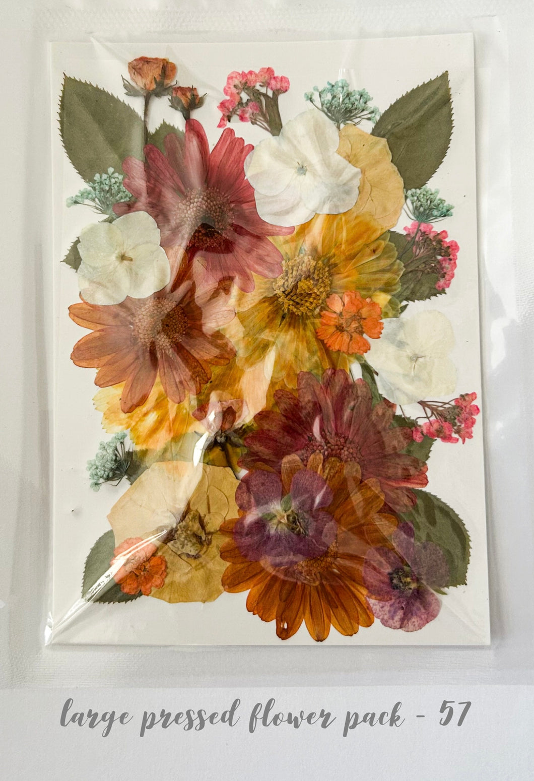 Large Dried Pressed Flower Pack - 57