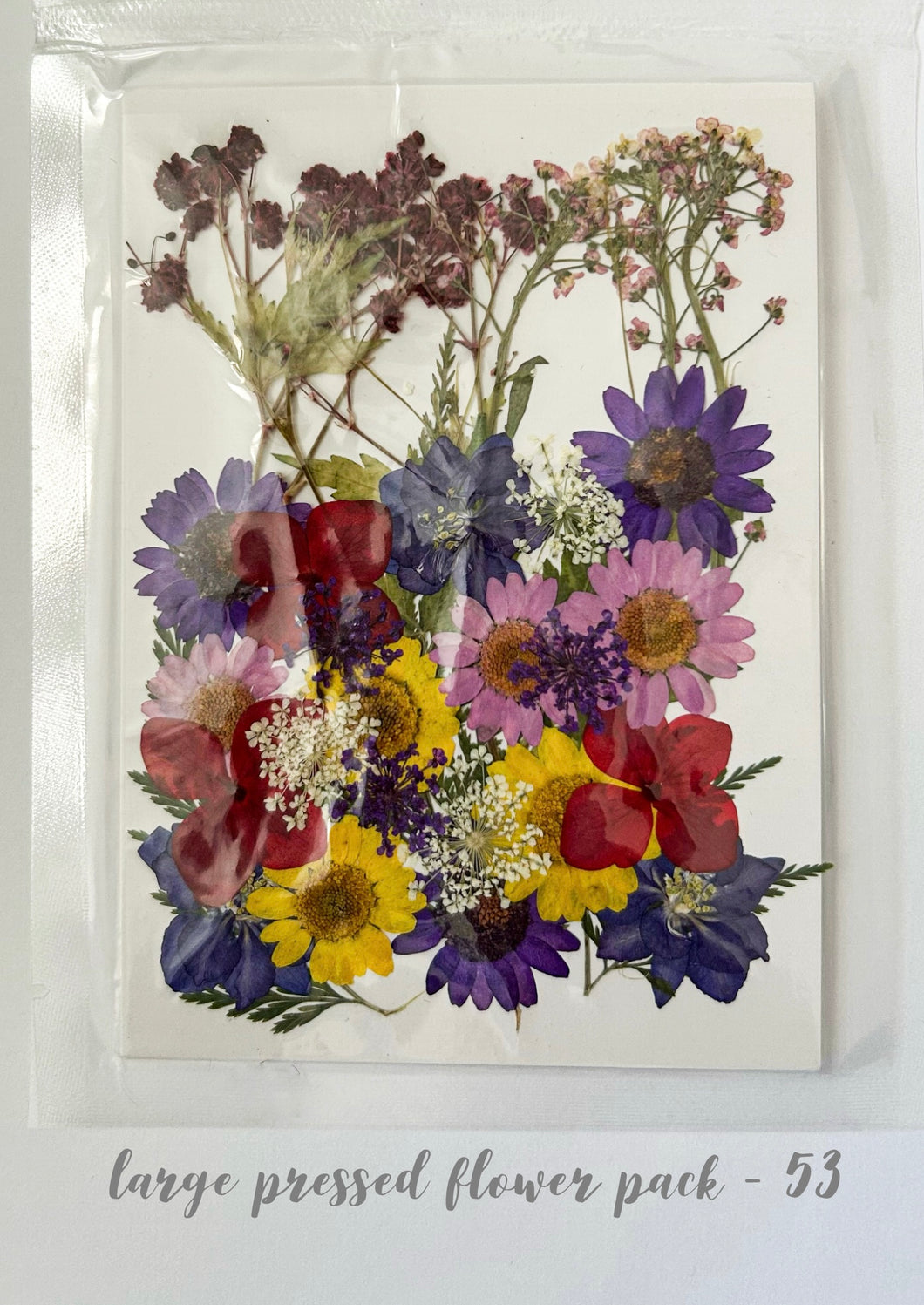 Large Dried Pressed Flower Pack - 53