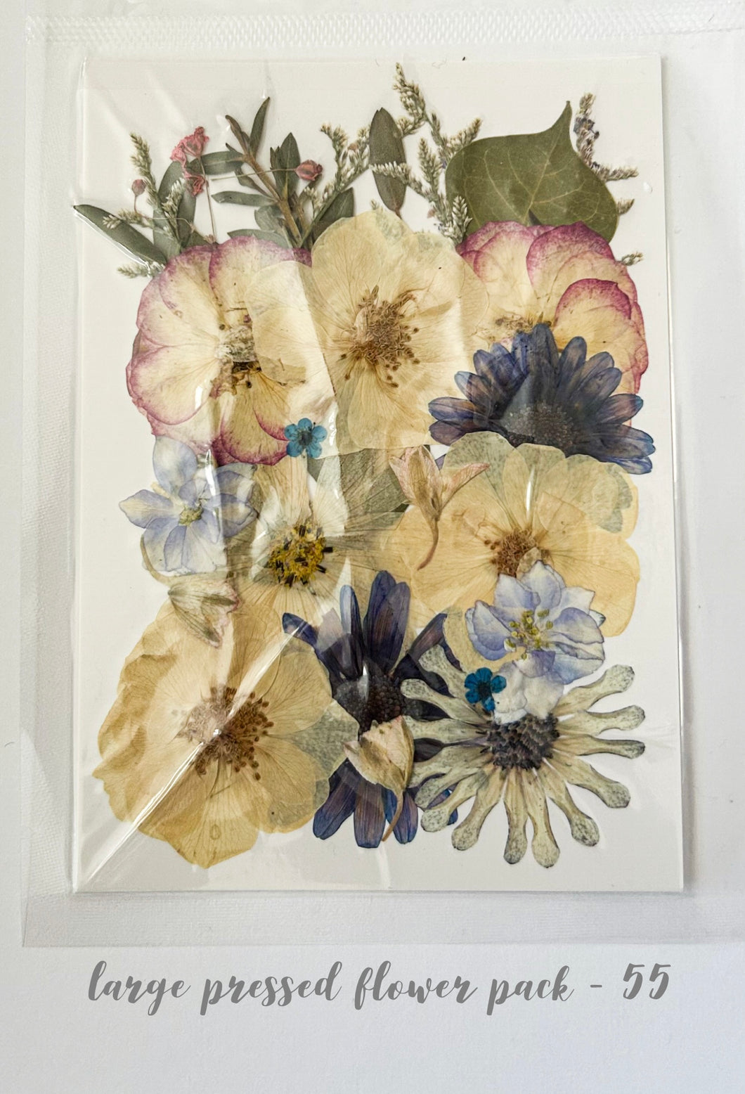Large Dried Pressed Flower Pack - 55