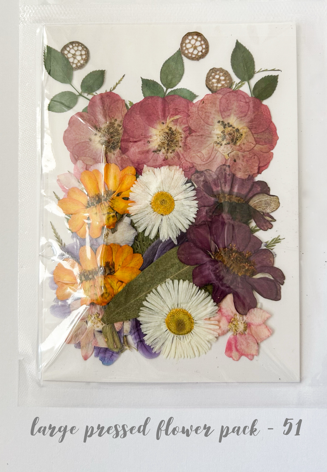 Large Dried Pressed Flower Pack - 51