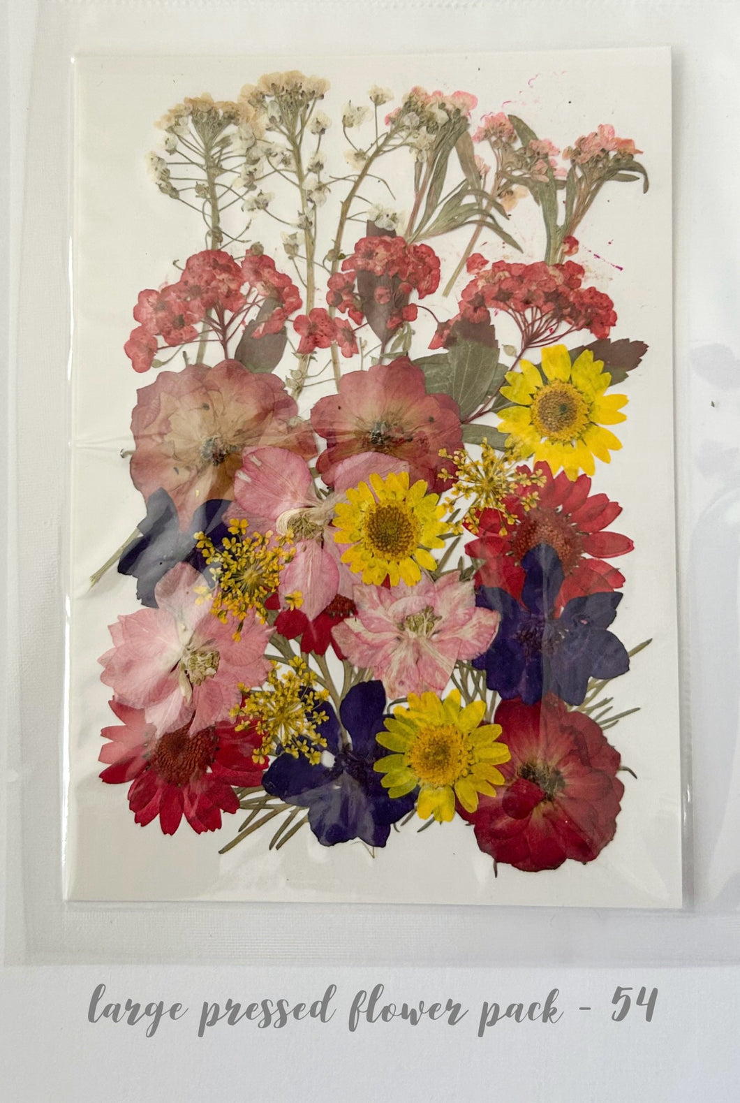 Large Dried Pressed Flower Pack - 54