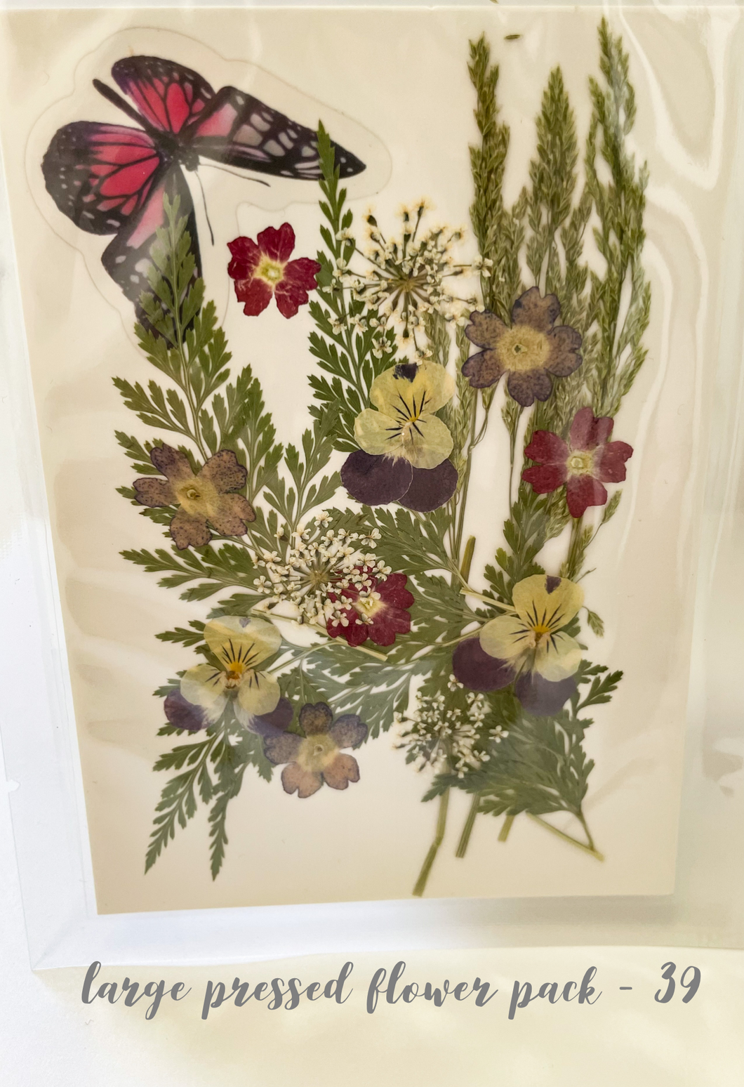 Large Dried Pressed Flower Pack - 39