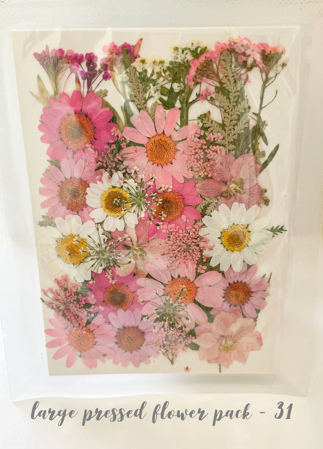 Large Dried Pressed Flower Pack - 31