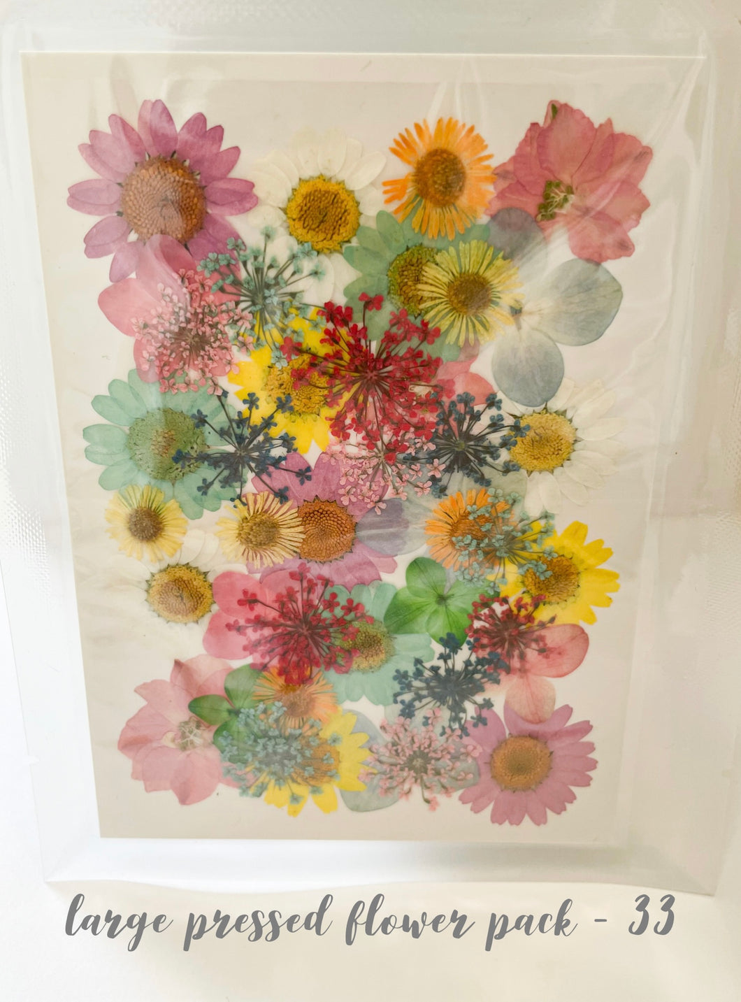 Large Dried Pressed Flower Pack - 33