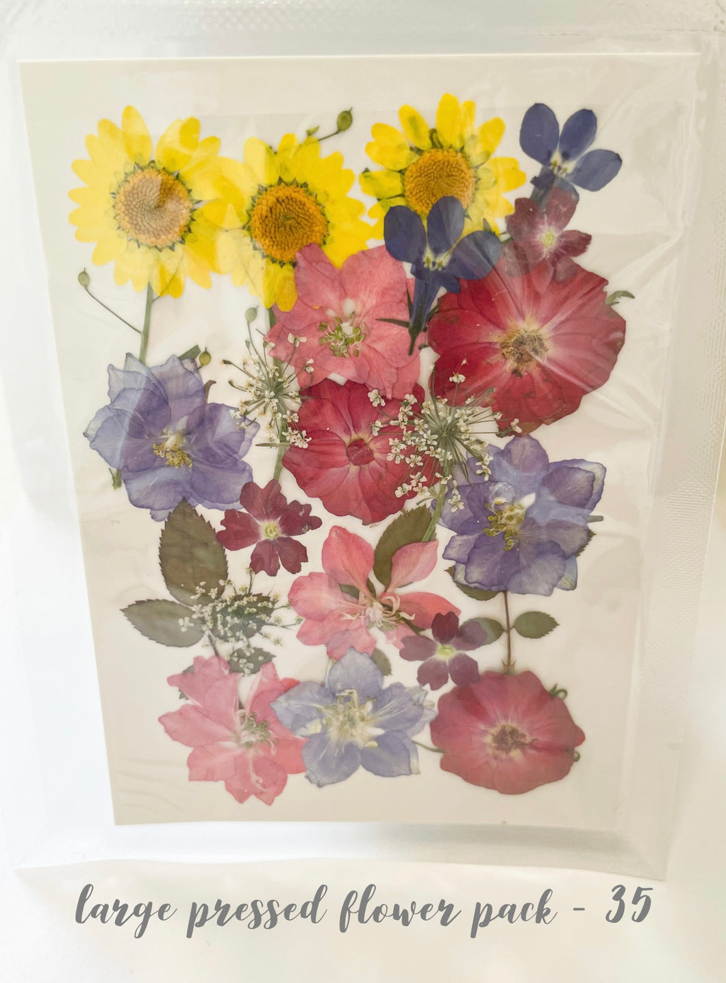 Large Dried Pressed Flower Pack - 35
