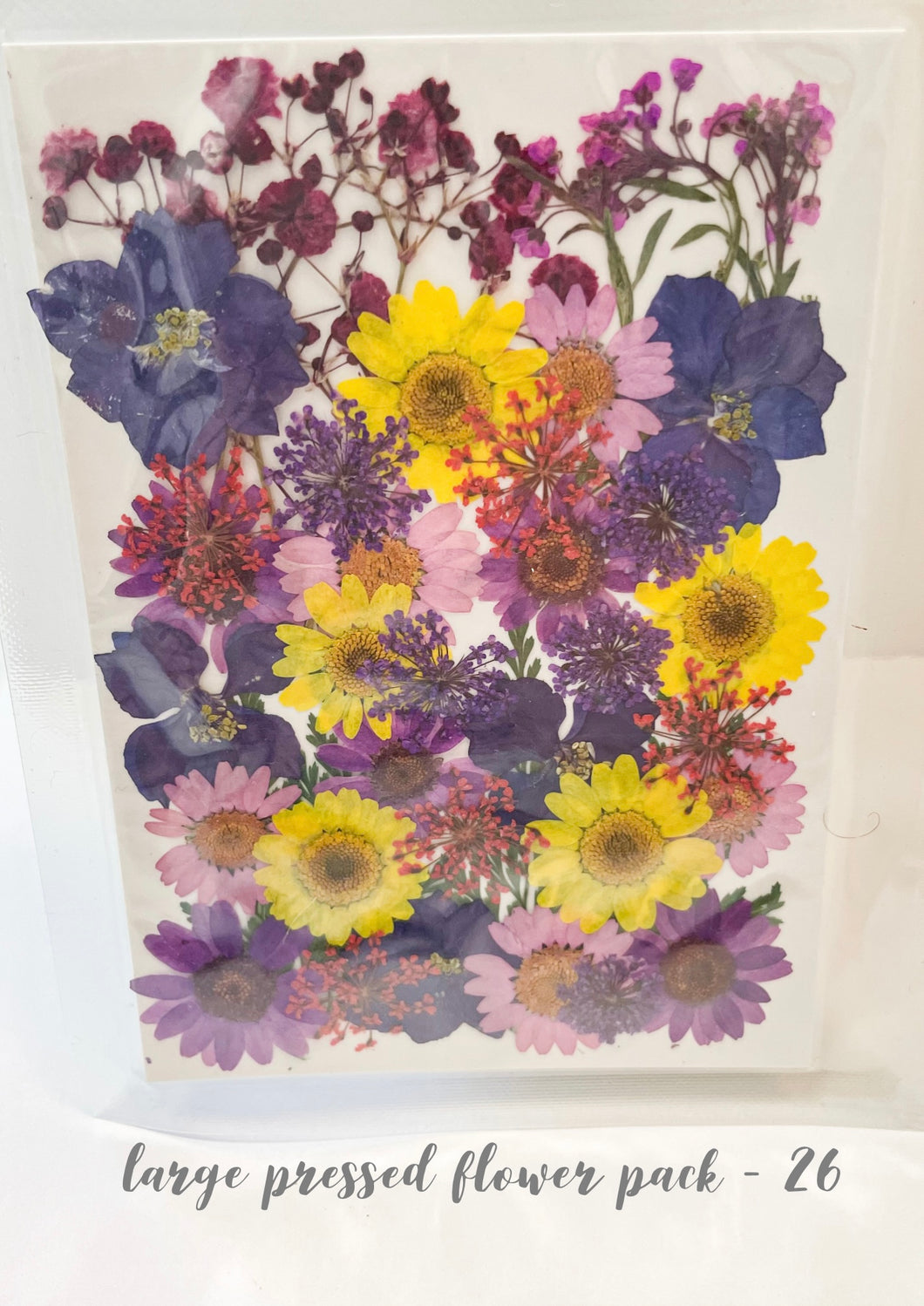 Large Dried Pressed Flower Pack - 26