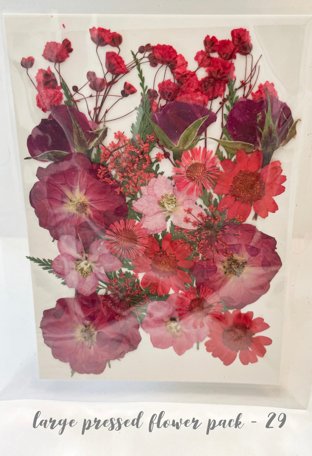 Large Dried Pressed Flower Pack - 29