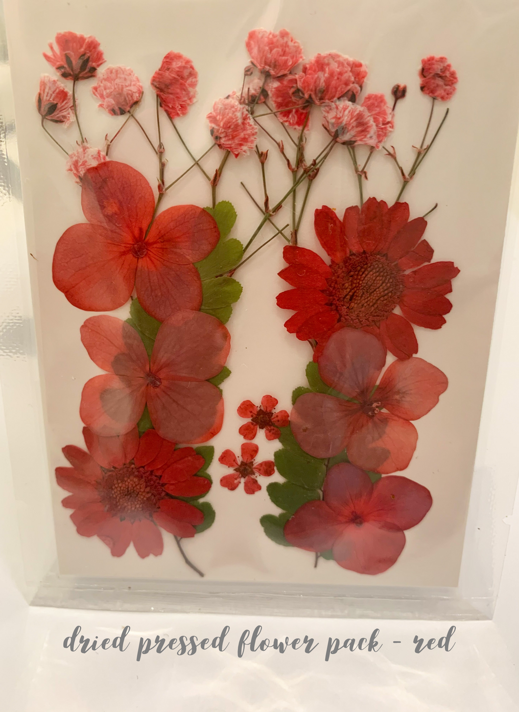 Small Dried Pressed Flower Pack - Red