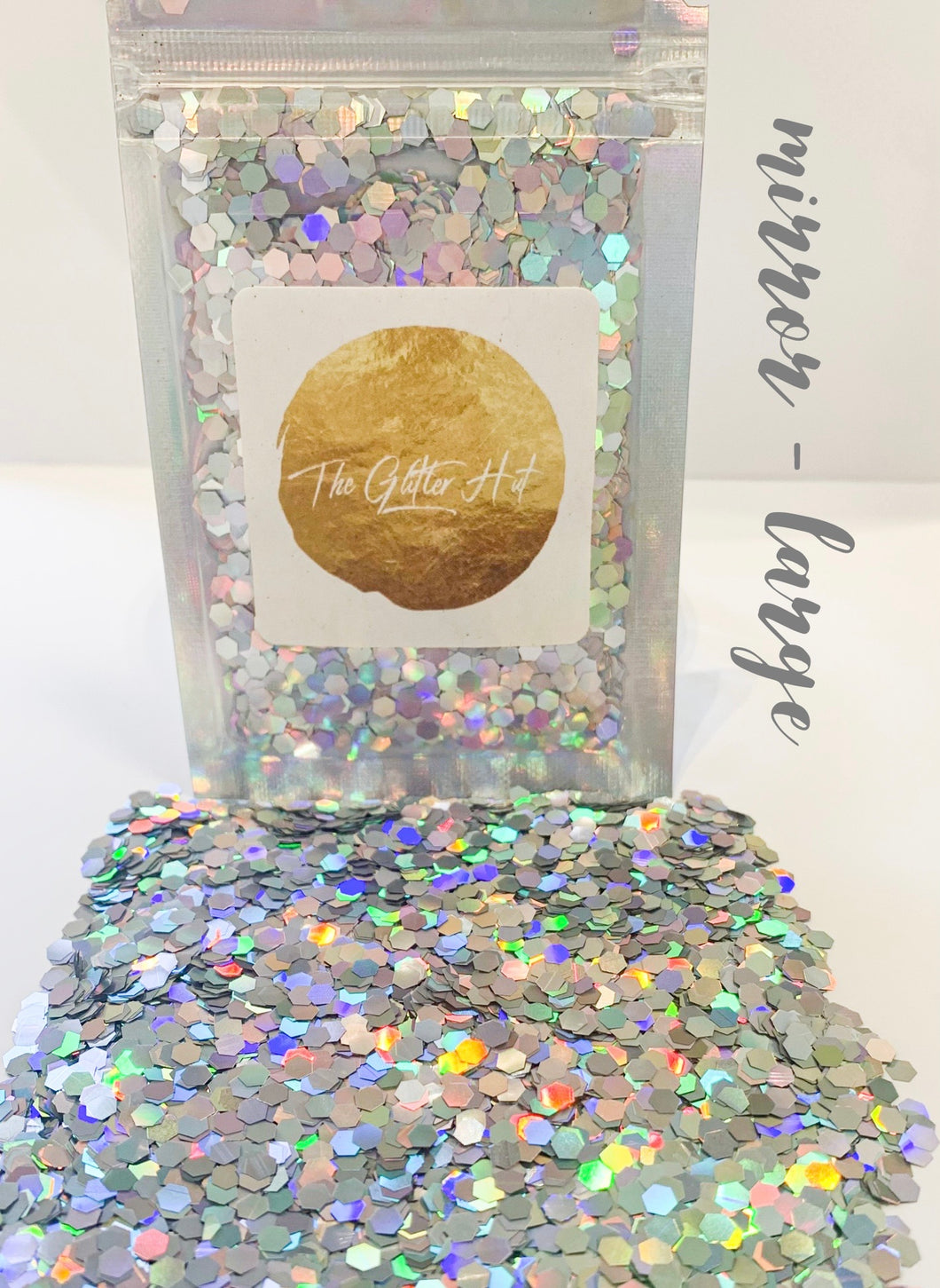 Large Chunky 10g Glitter Bag - Mirror