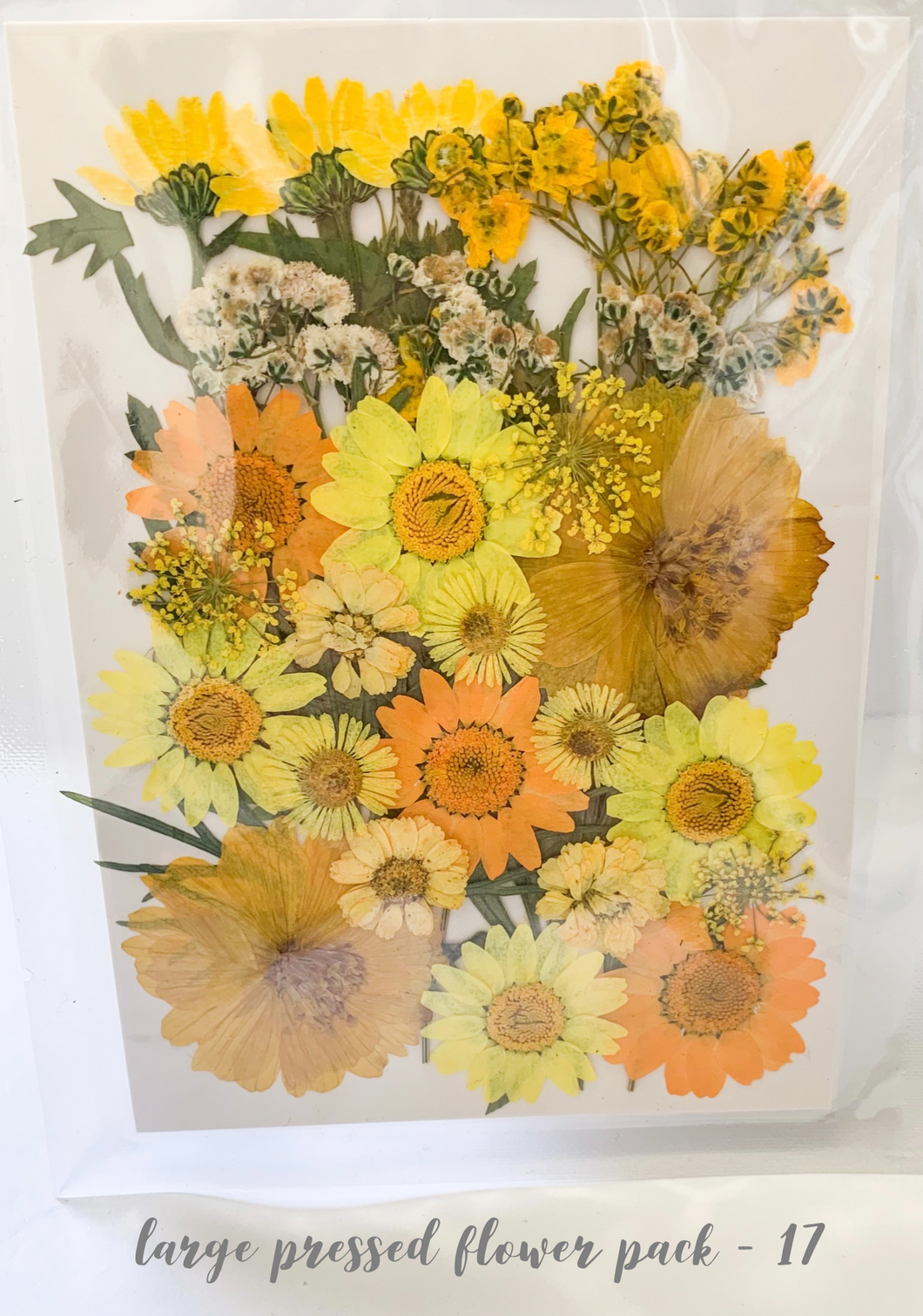 Large Dried Pressed Flower Pack - 17