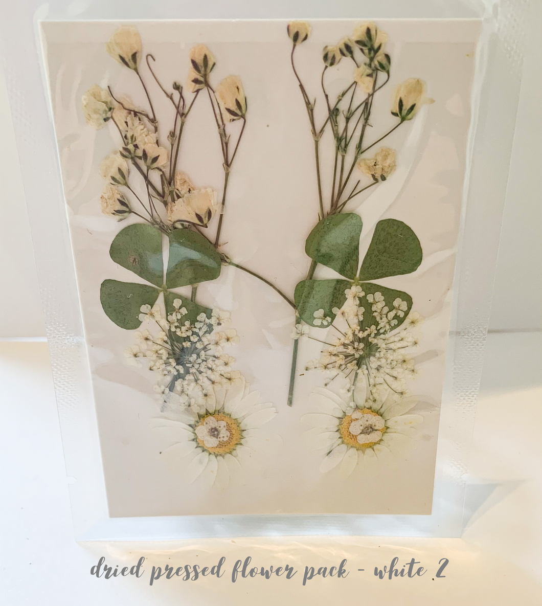 Small Dried Pressed Flower Pack - White 2