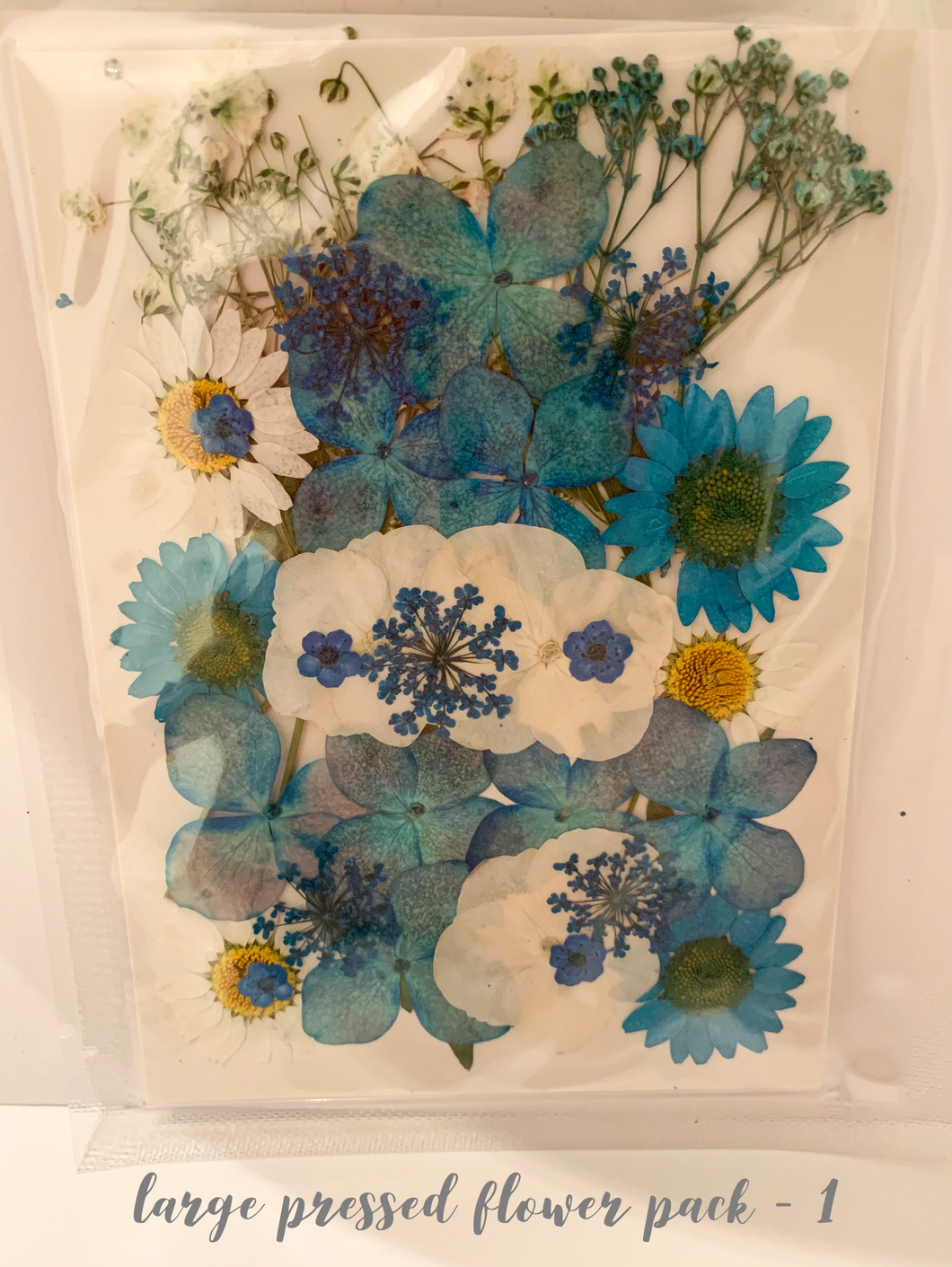 Large Dried Pressed Flower Pack - 1