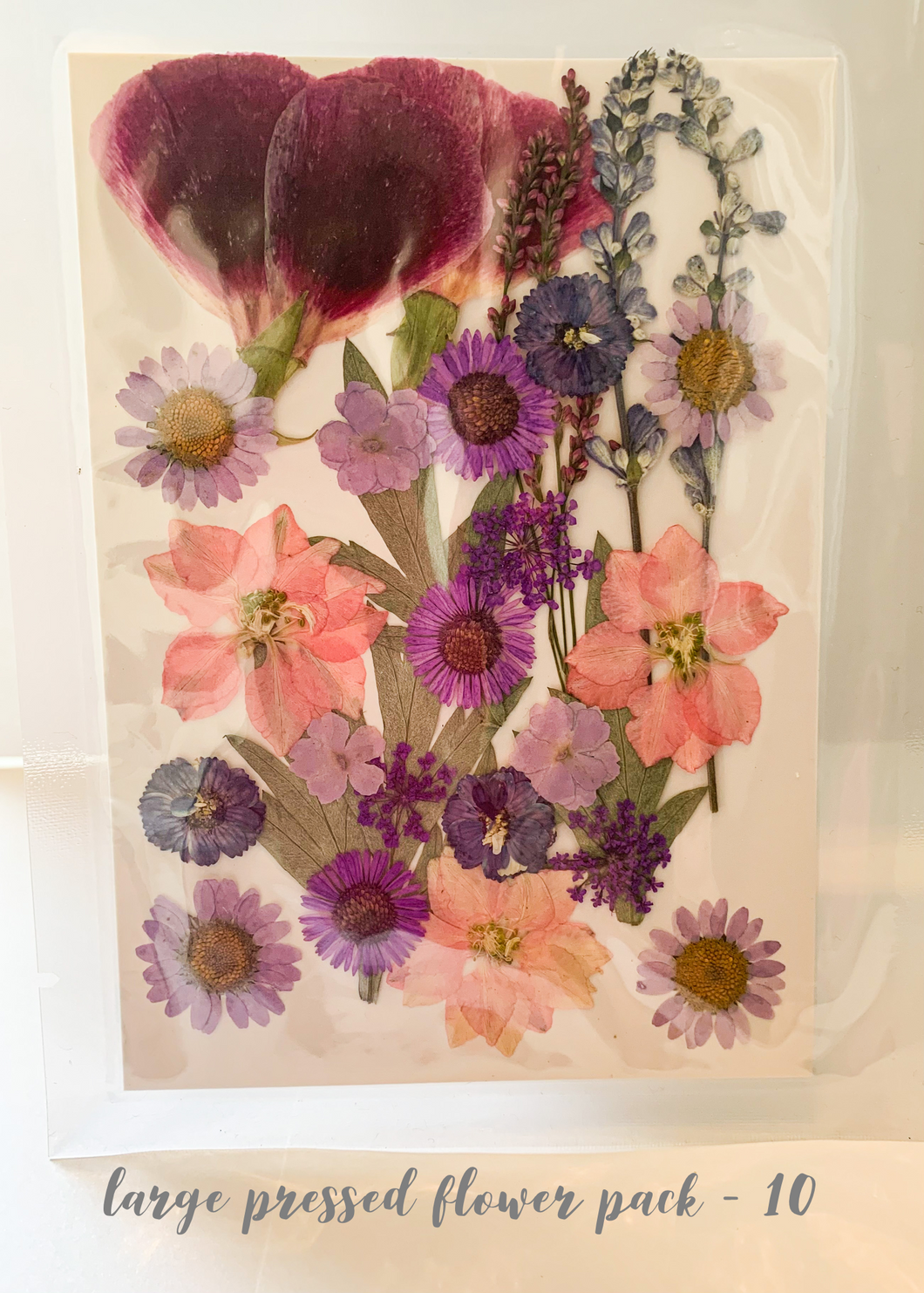 Large Dried Pressed Flower Pack - 10