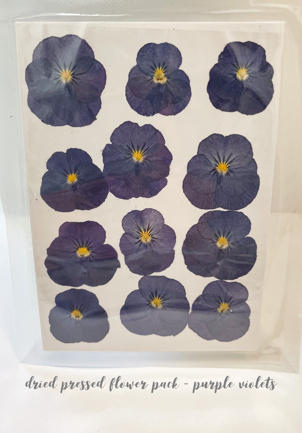 Dried Pressed Flower Pack - Purple Violets