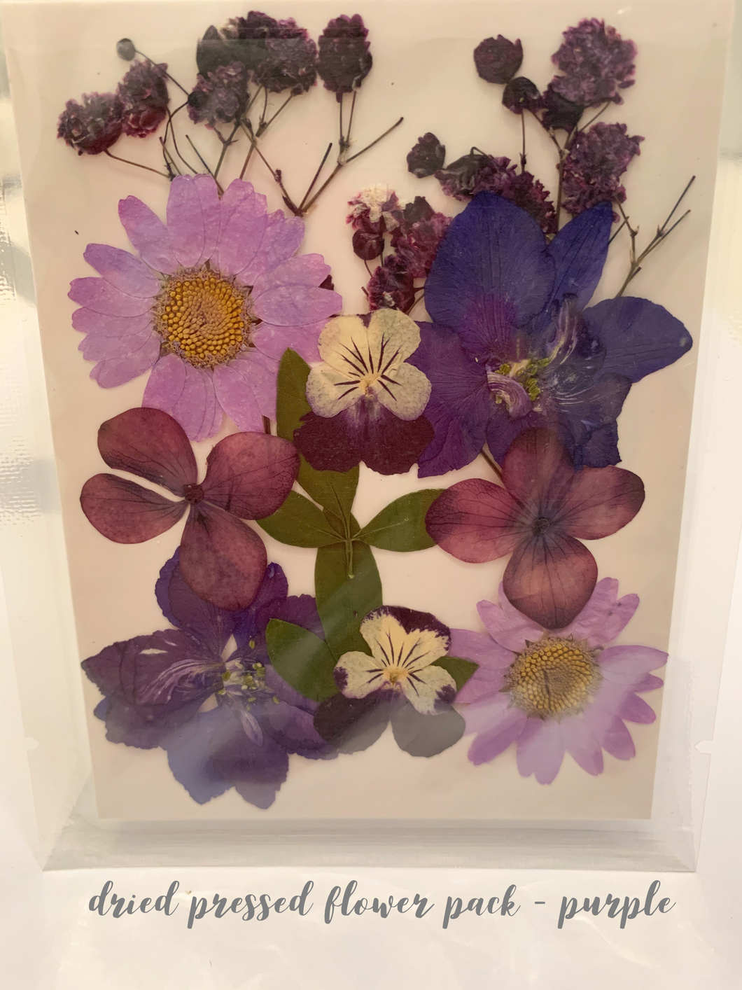 Small Dried Pressed Flower Pack - Purple
