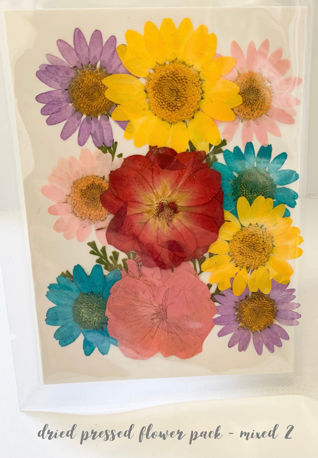 Small Dried Pressed Flower Pack - Mixed 2