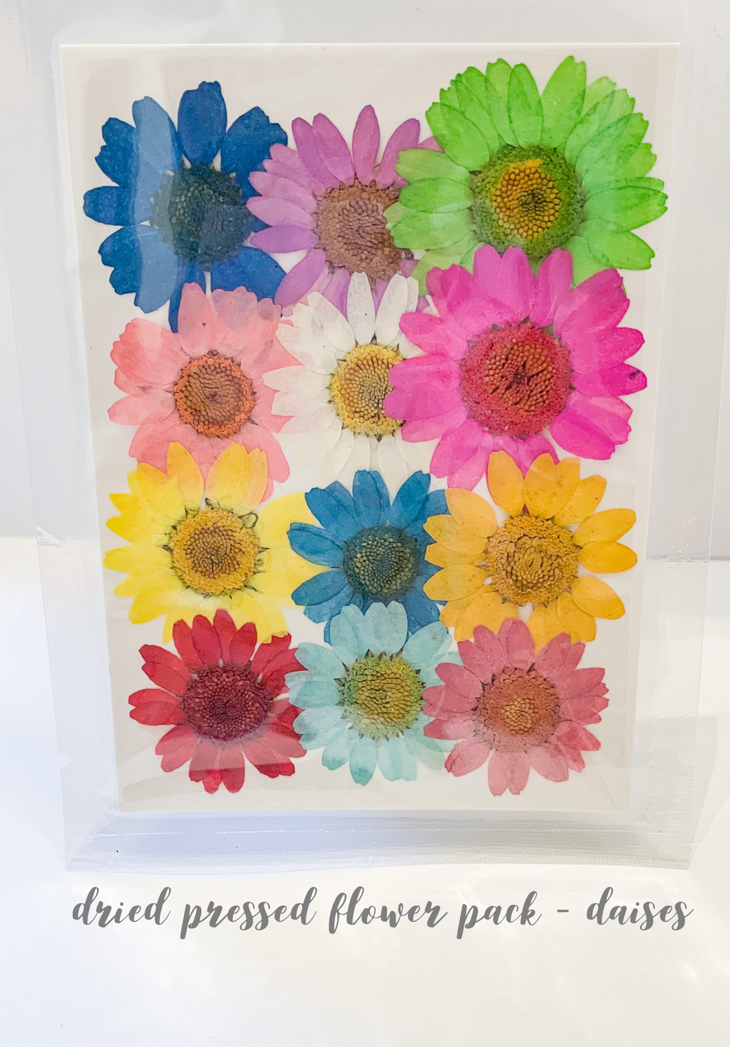 Small Dried Pressed Flower Pack - Daisies