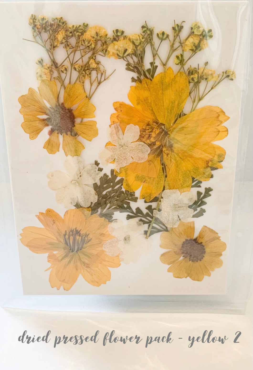 Small Dried Pressed Flower Pack - Yellow 2