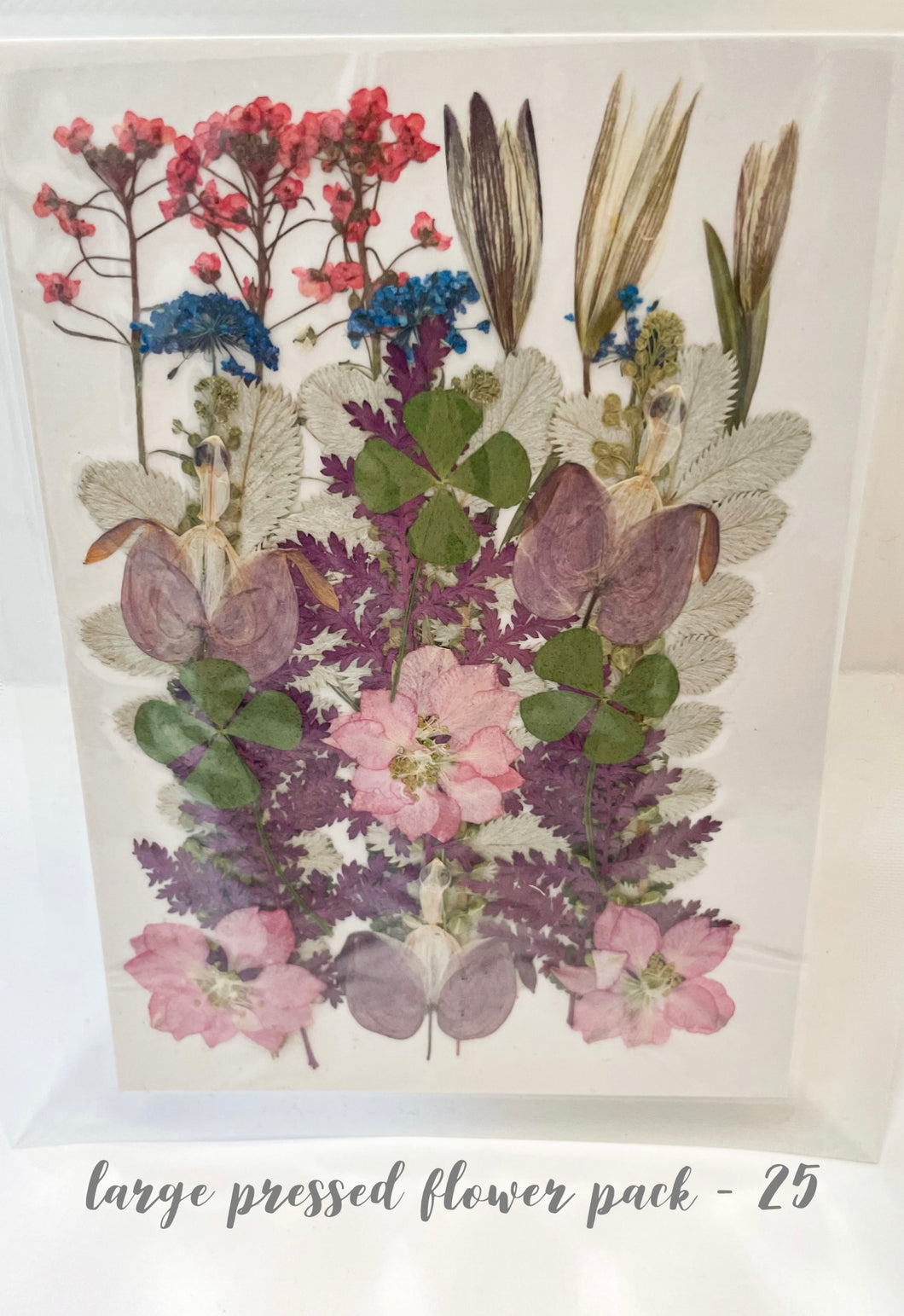 Large Dried Pressed Flower Pack - 25