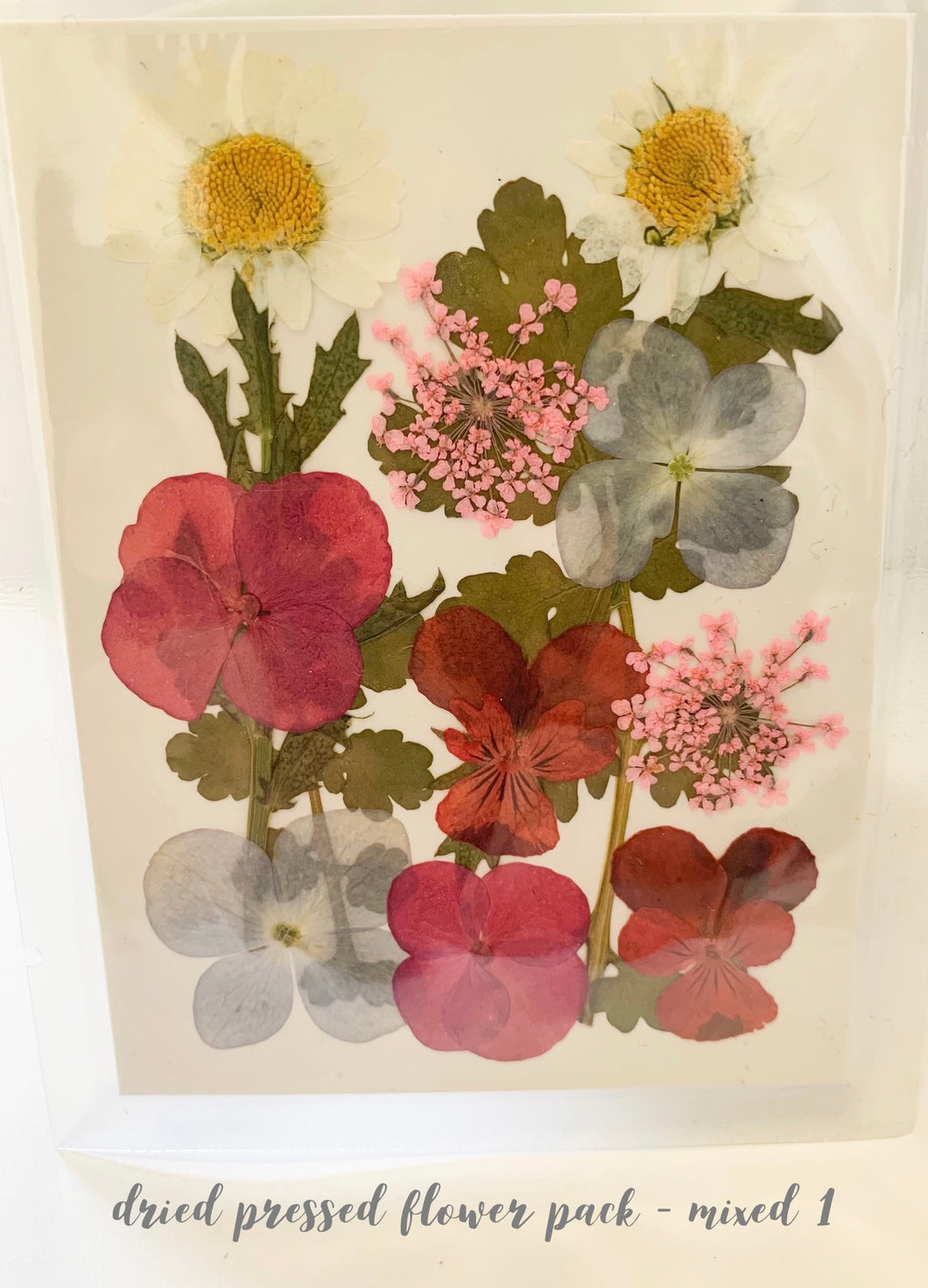 Small Dried Pressed Flower Pack - Mixed 1