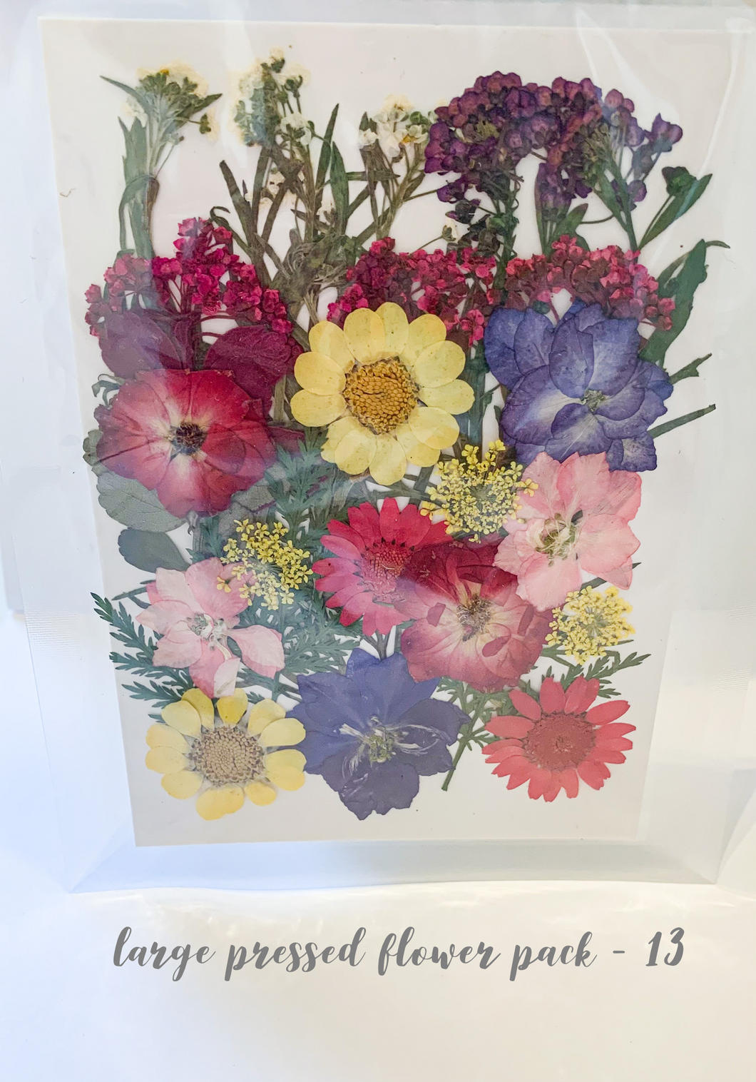 Large Dried Pressed Flower Pack - 13