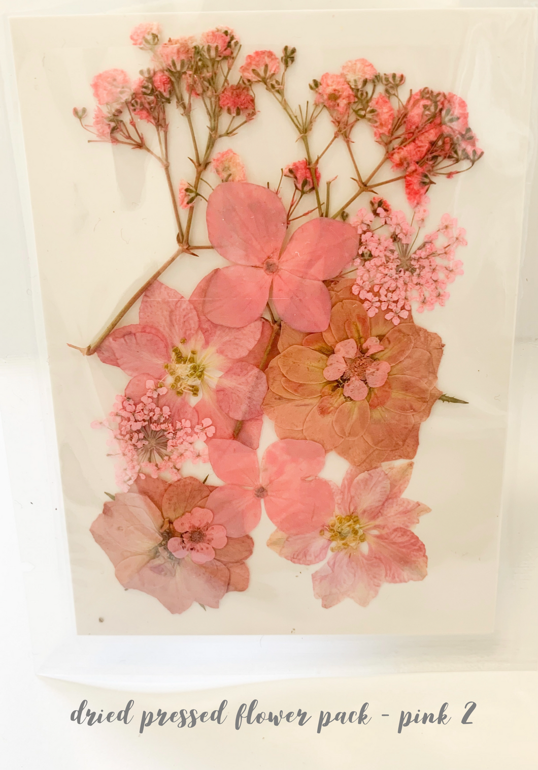 Small Dried Pressed Flower Pack - Pink 2