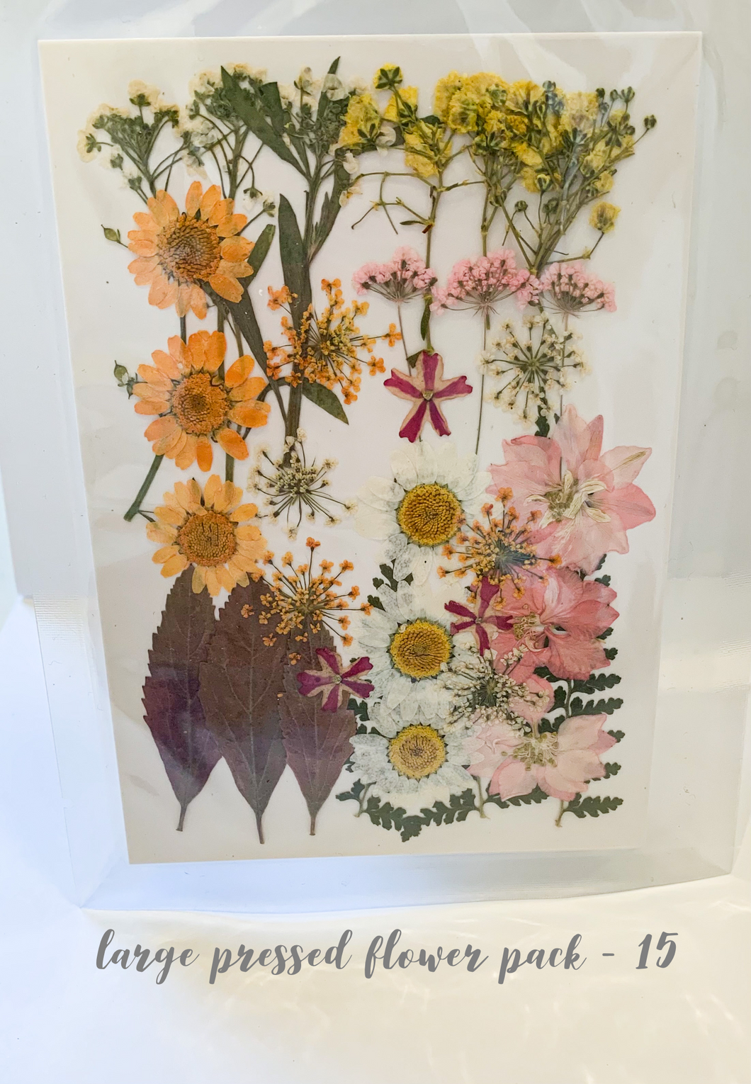 Large Dried Pressed Flower Pack - 15