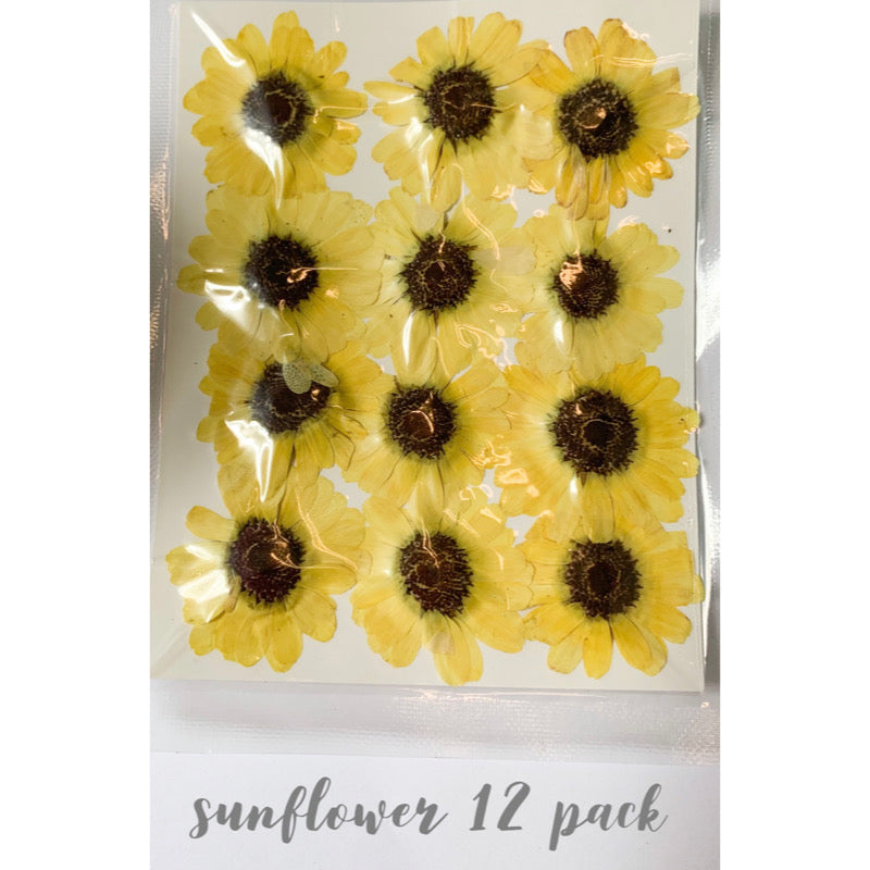 12 Sunflower pack - Yellow