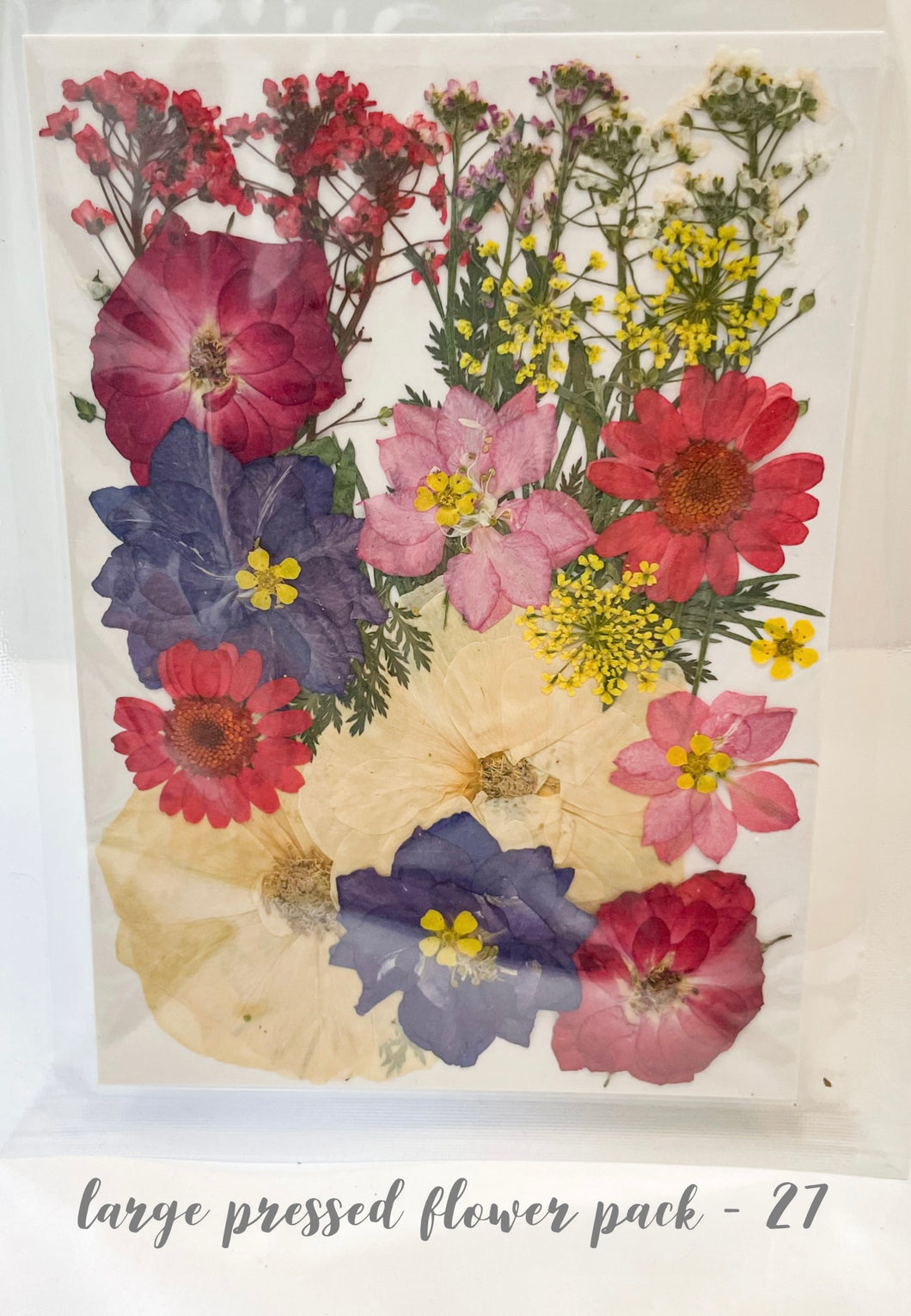 Large Dried Pressed Flower Pack - 27