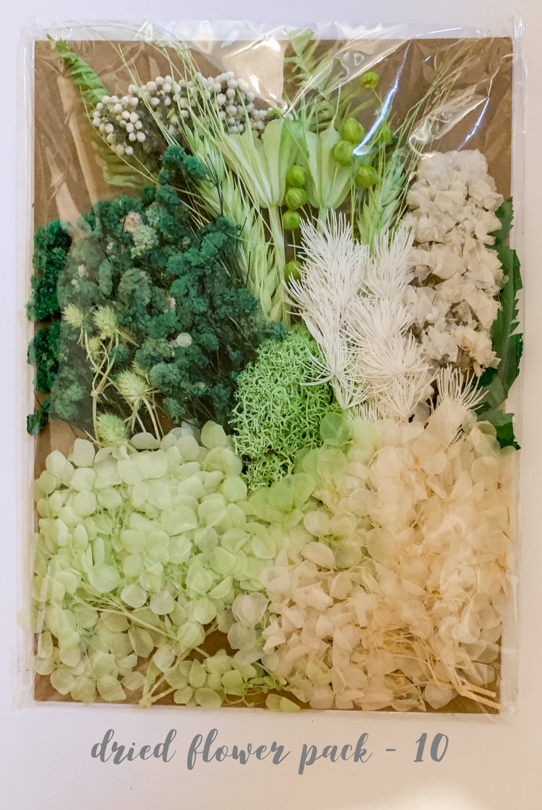 Dried Flower Pack 10