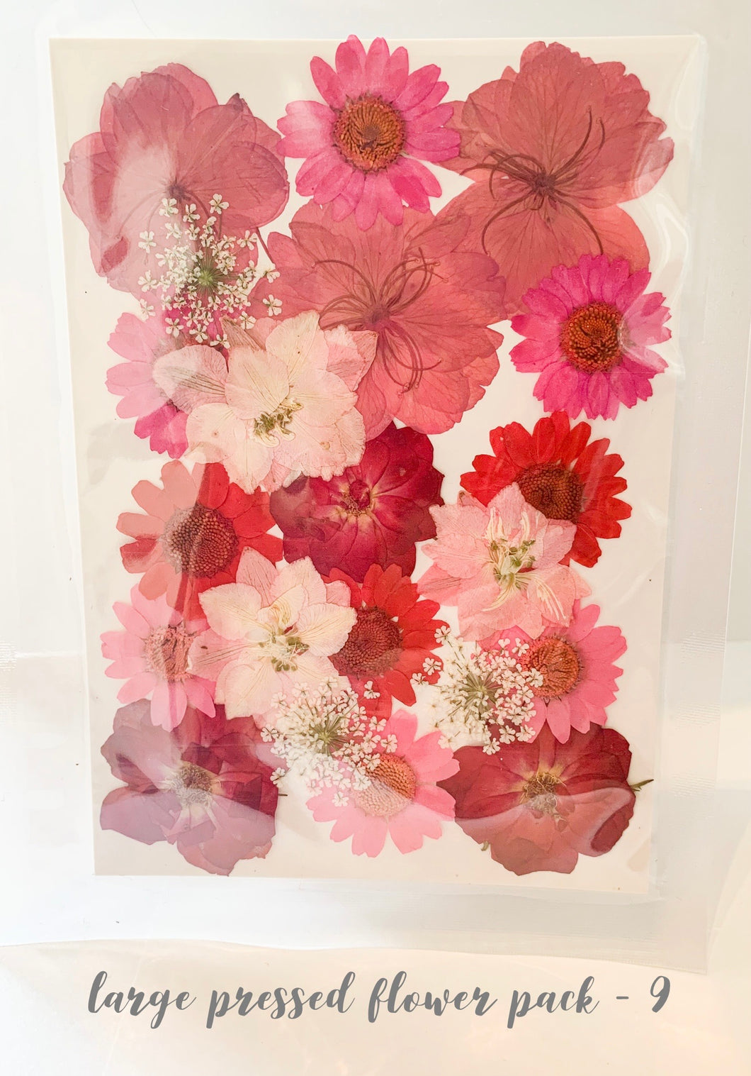 Large Dried Pressed Flower Pack - 9