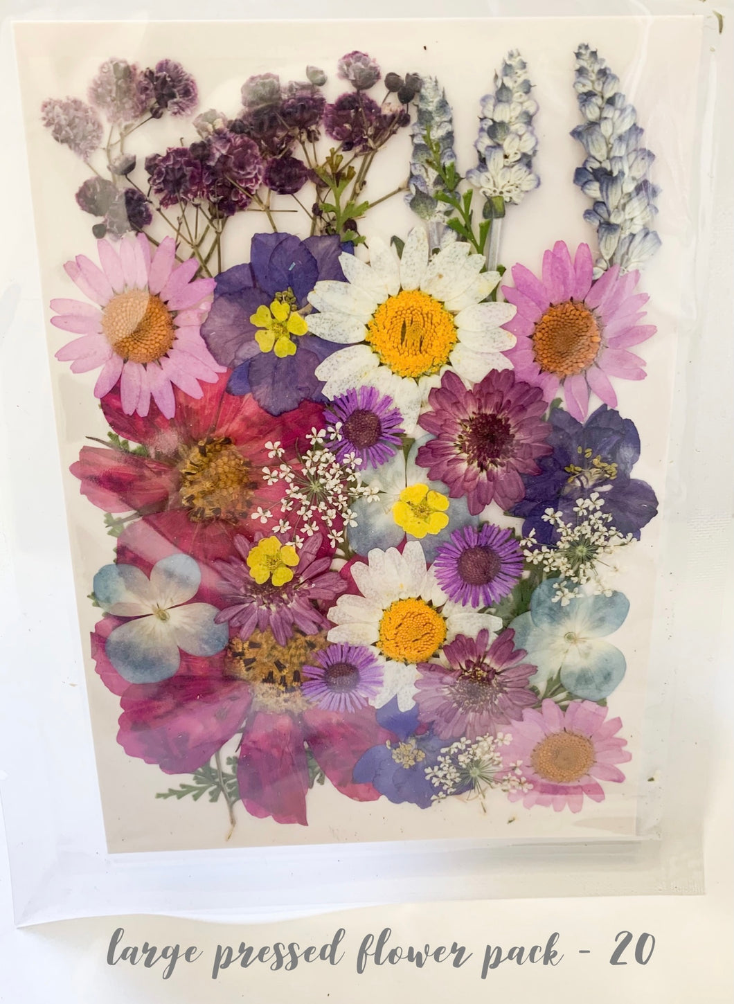 Large Dried Pressed Flower Pack - 20